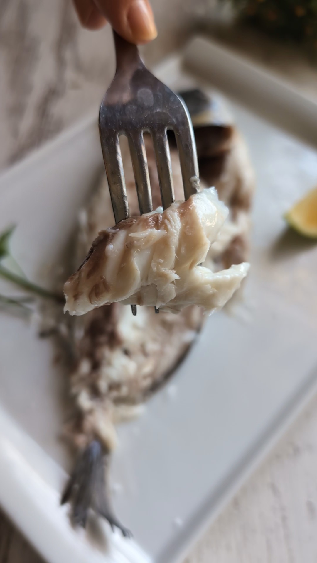 dorada, lubina al horno