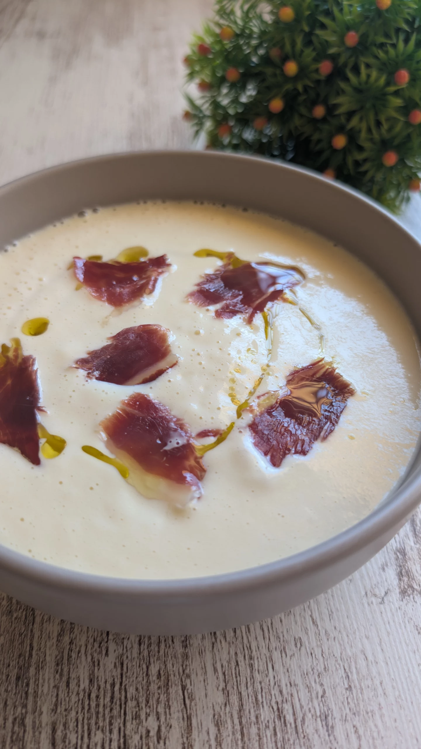 Crema Fría, Salmorejo, Gazpacho