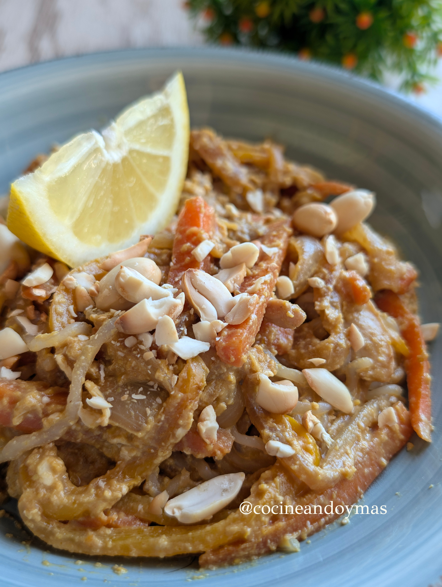 Plato de Pad Thai casero con fideos de avena, pollo, verduras salteadas, huevo y cacahuetes picados por encima.