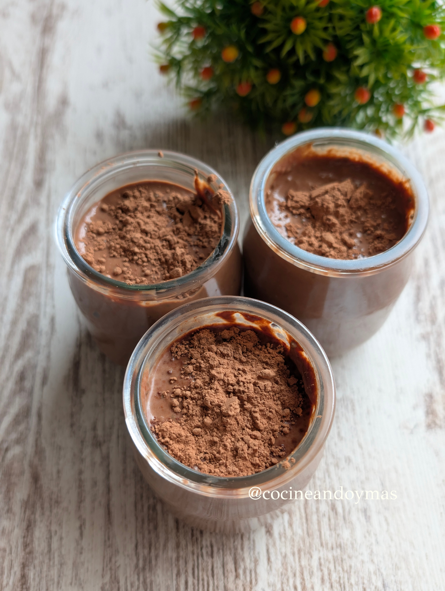 Vasito de mousse de chocolate y chía con textura muy cremosa, decorado con cacao puro en polvo.