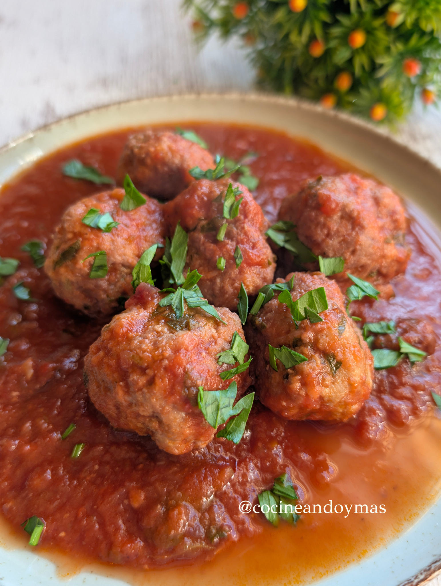 Plato de albóndigas de carne en salsa de tomate y verduras espesa, decorado con perejil fresco.