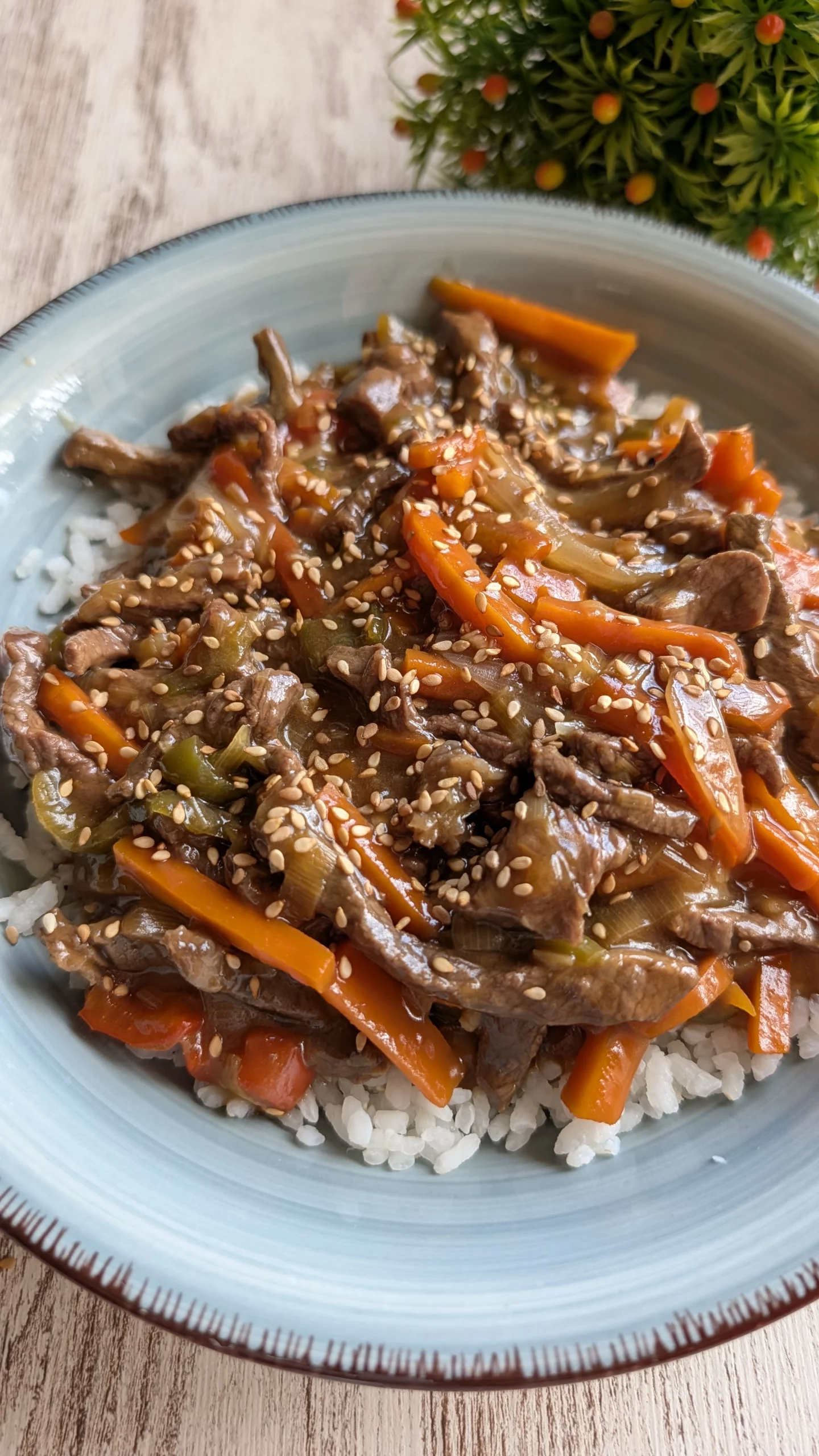 Wok con tiras de ternera salteadas con zanahoria, pimiento verde, cebolla y puerro en salsa de soja y sésamo, servido con arroz y sésamo tostado.